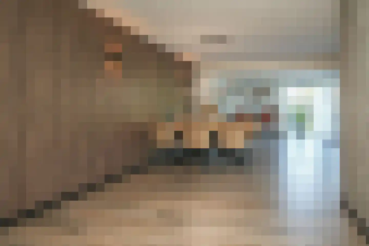 de Laak 18 Dreumel thumbnail 17