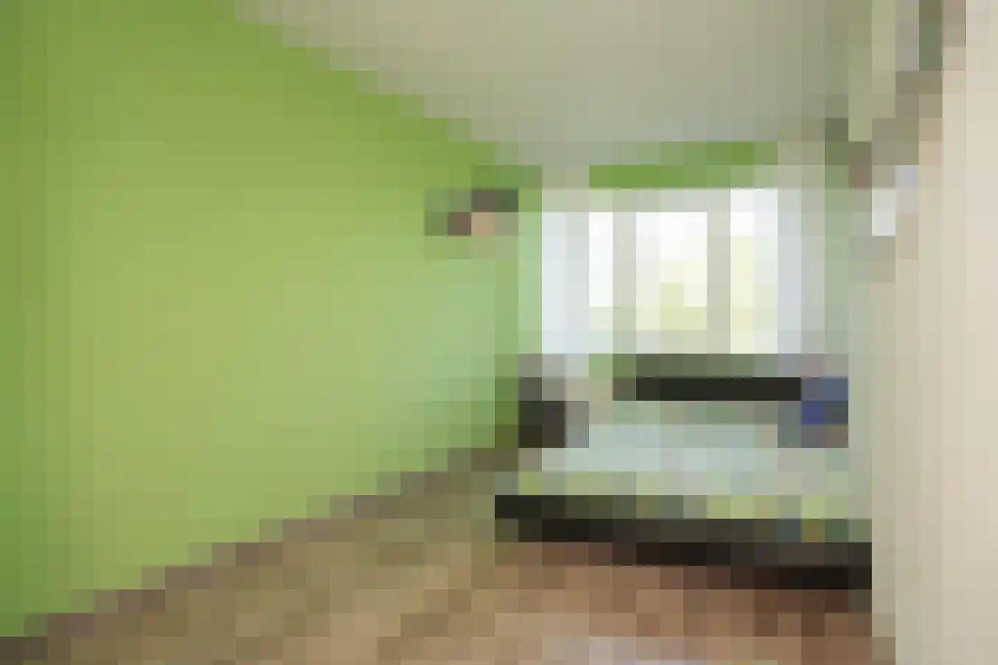 de Laak 18 Dreumel thumbnail 25