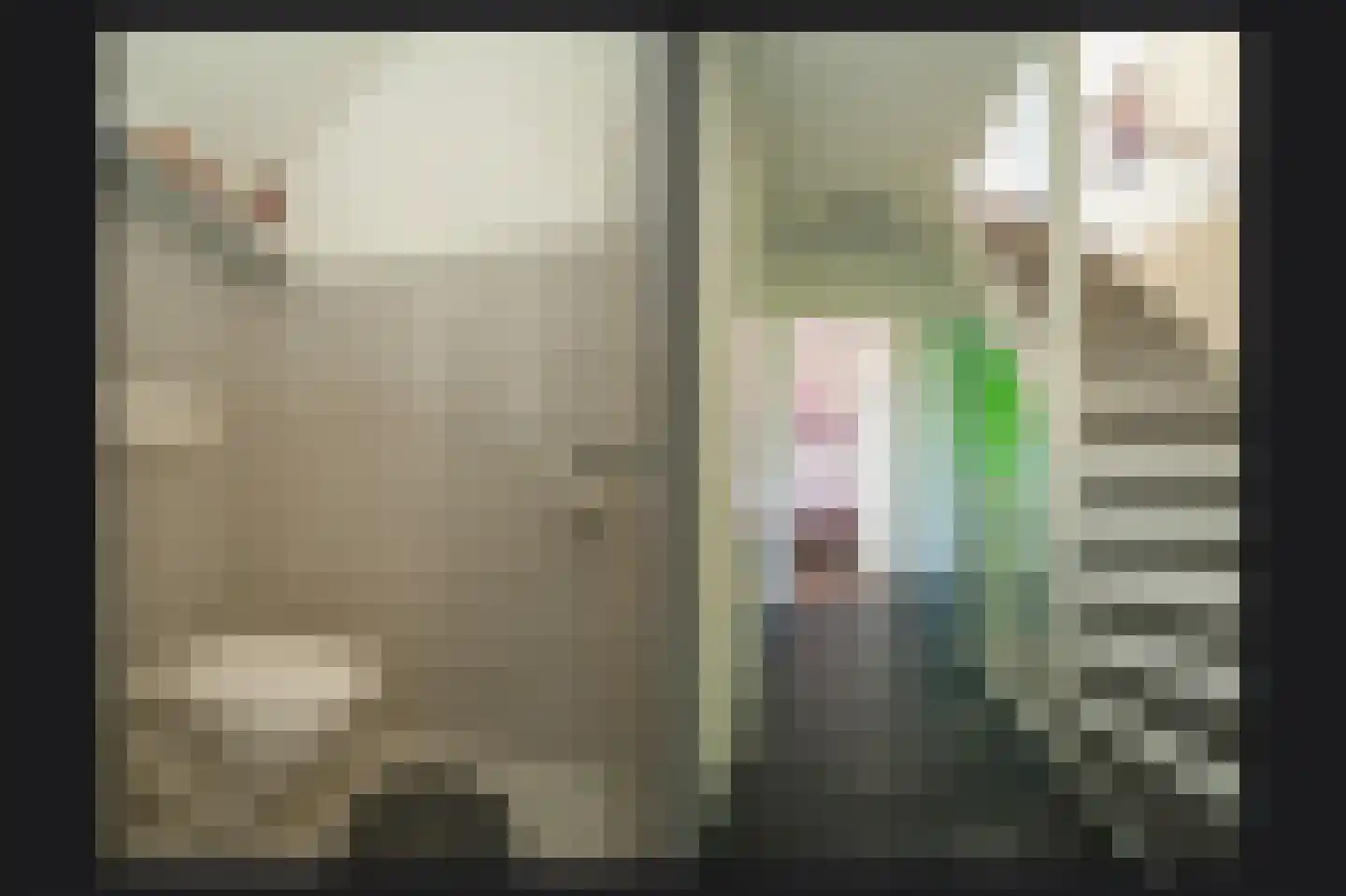 de Laak 18 Dreumel thumbnail 29