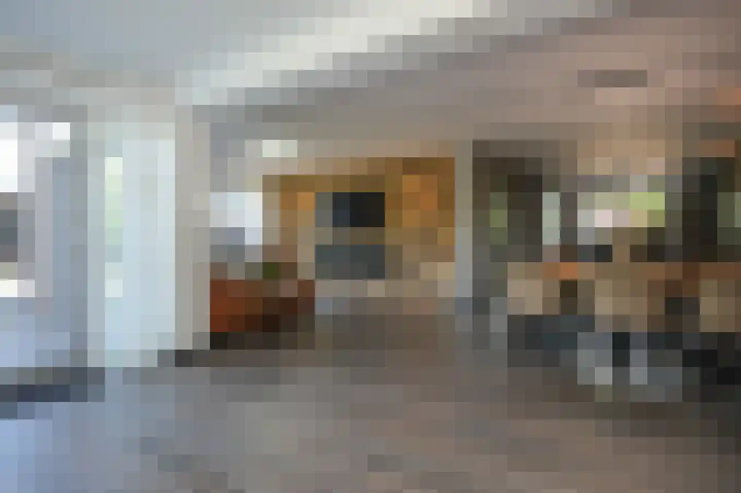 de Laak 18 Dreumel foto 3