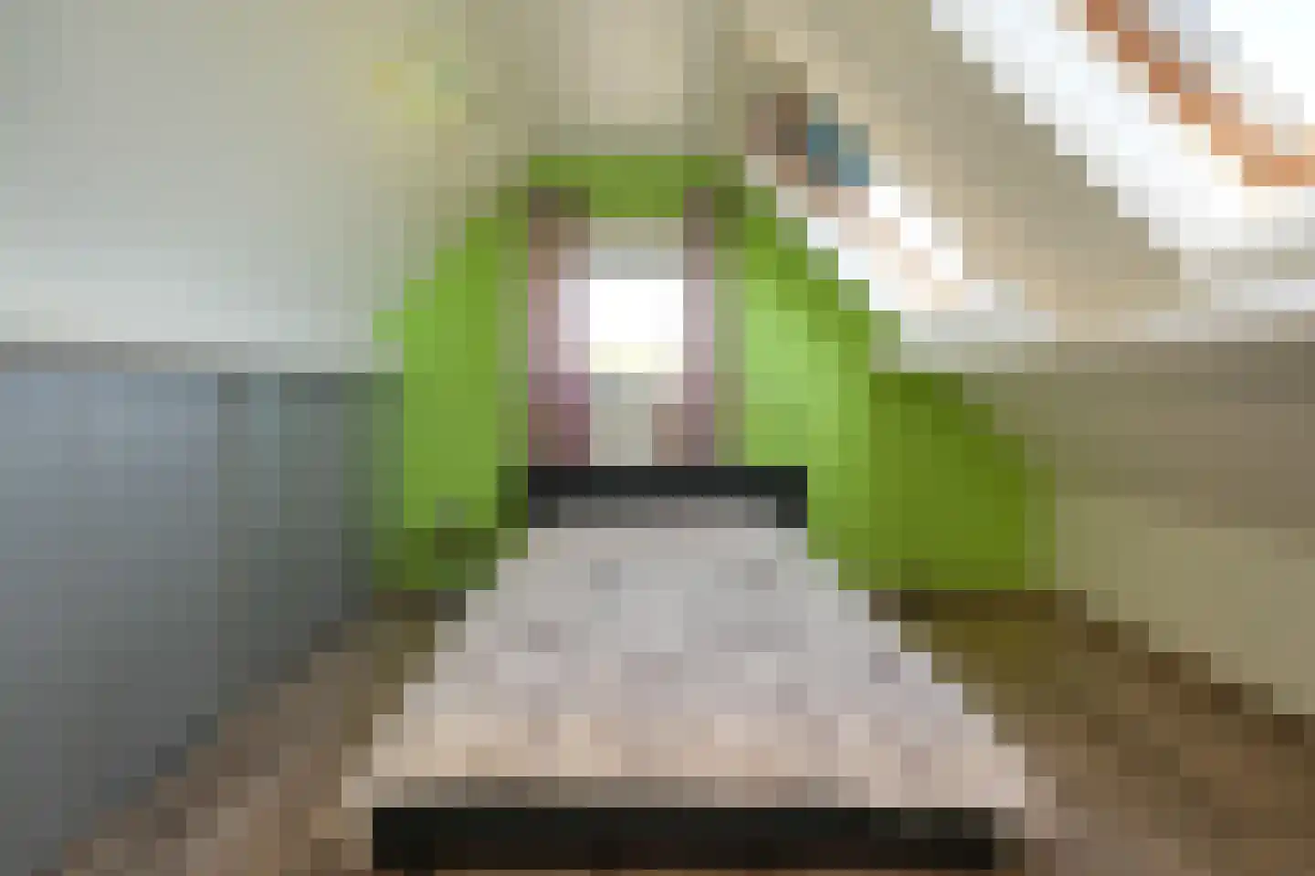 de Laak 18 Dreumel thumbnail 30