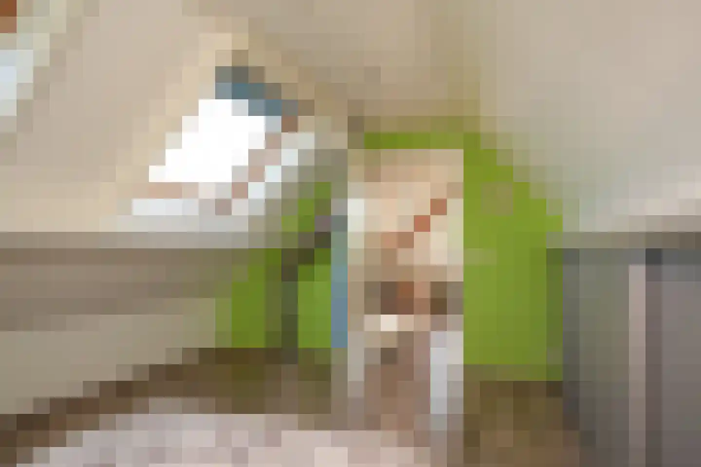 de Laak 18 Dreumel thumbnail 31