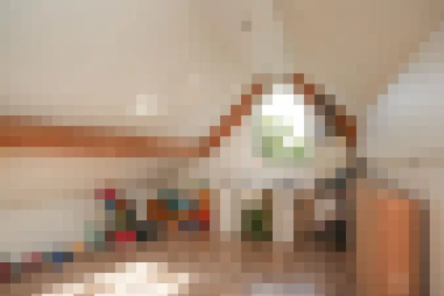 de Laak 18 Dreumel thumbnail 32