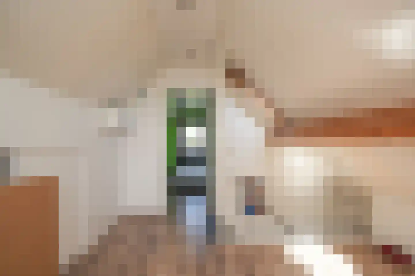de Laak 18 Dreumel thumbnail 33