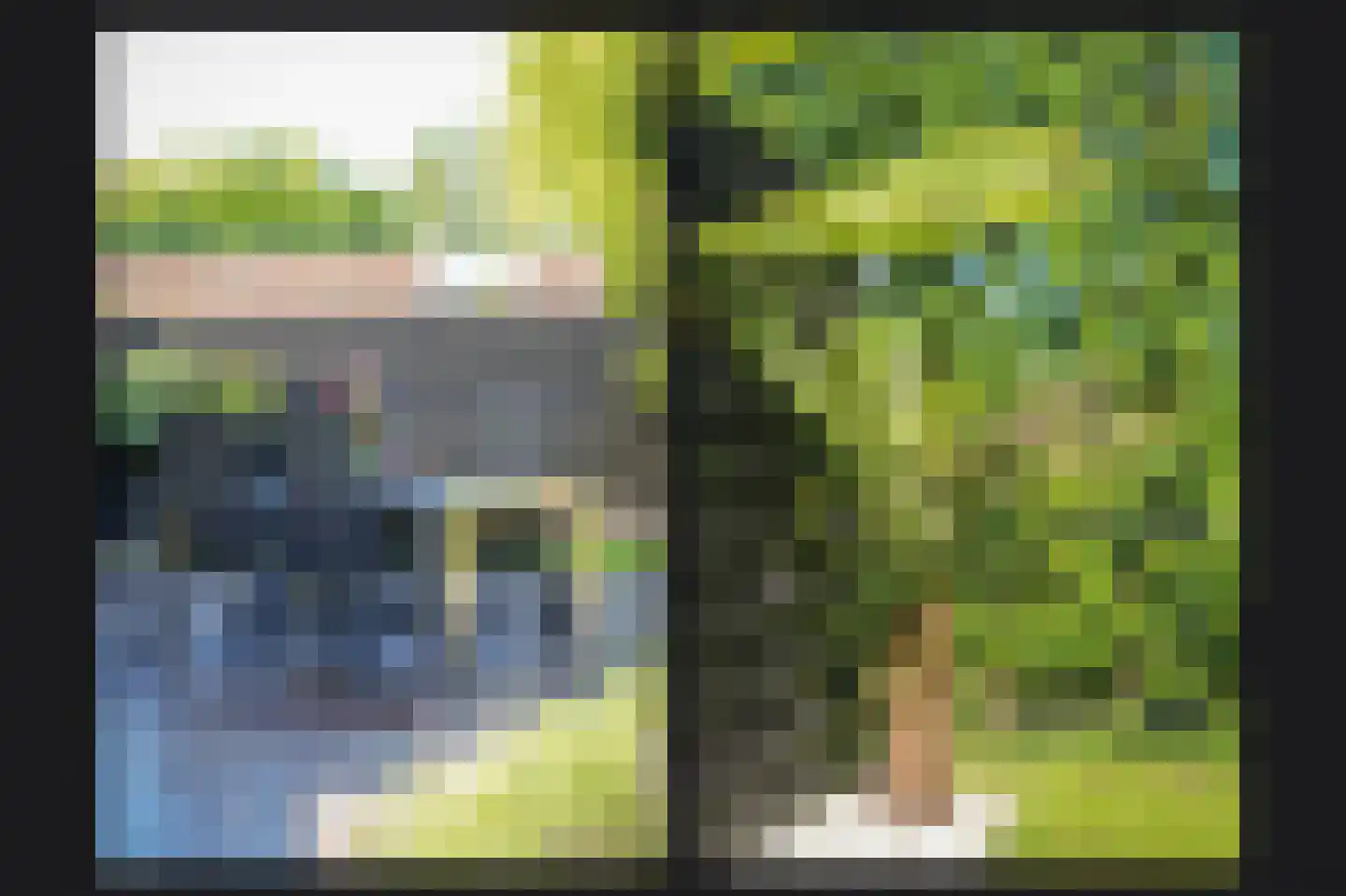 de Laak 18 Dreumel thumbnail 37