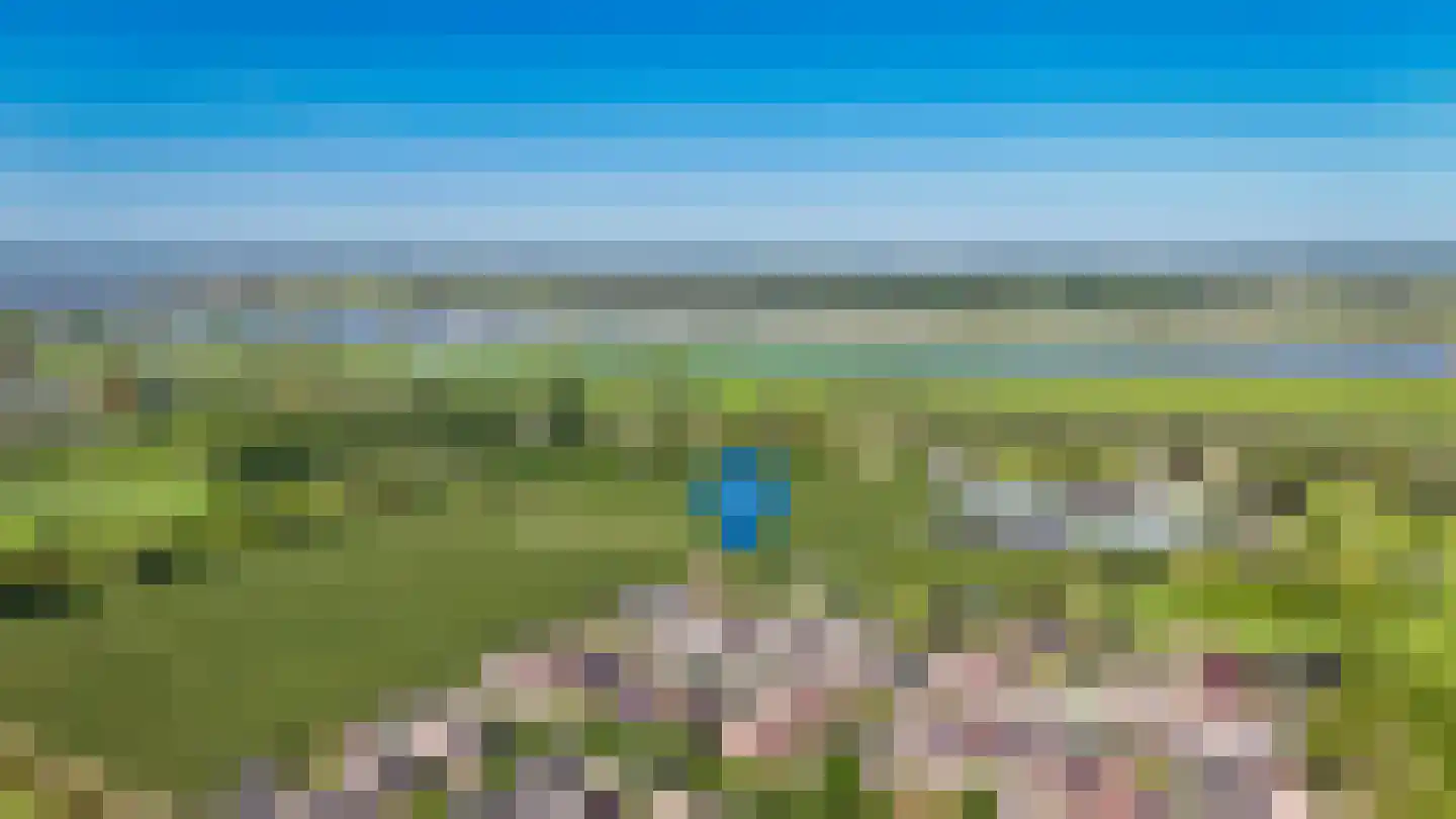 de Laak 18 Dreumel thumbnail 53