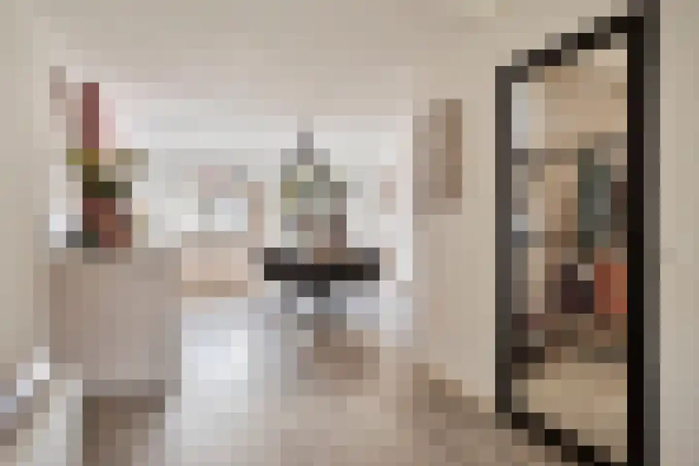 de Laak 23 Dreumel thumbnail 11