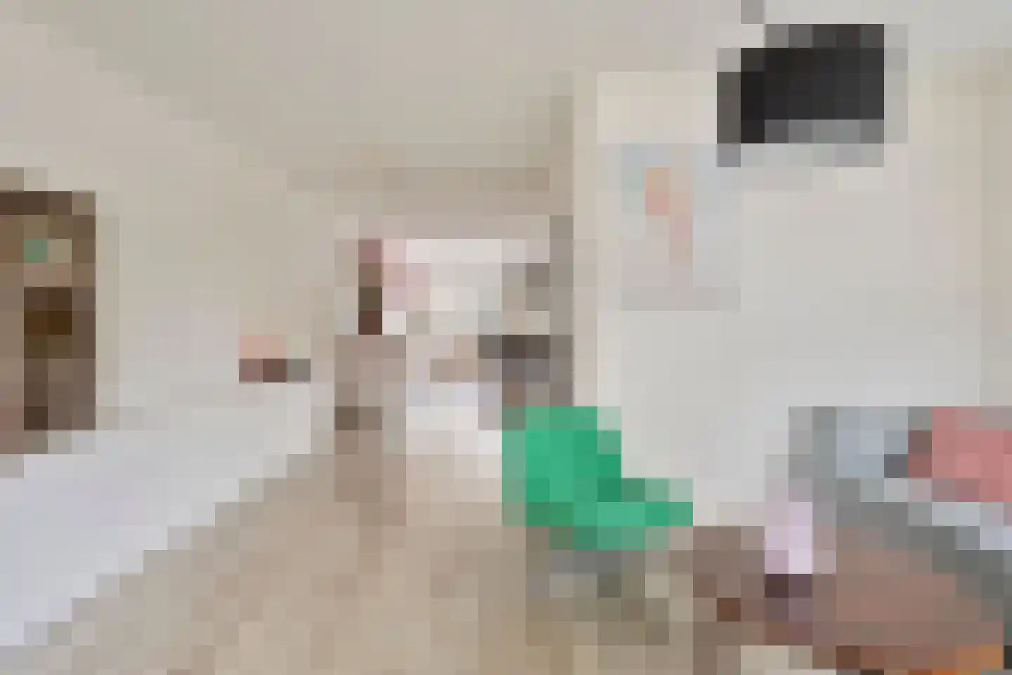 de Laak 23 Dreumel thumbnail 14