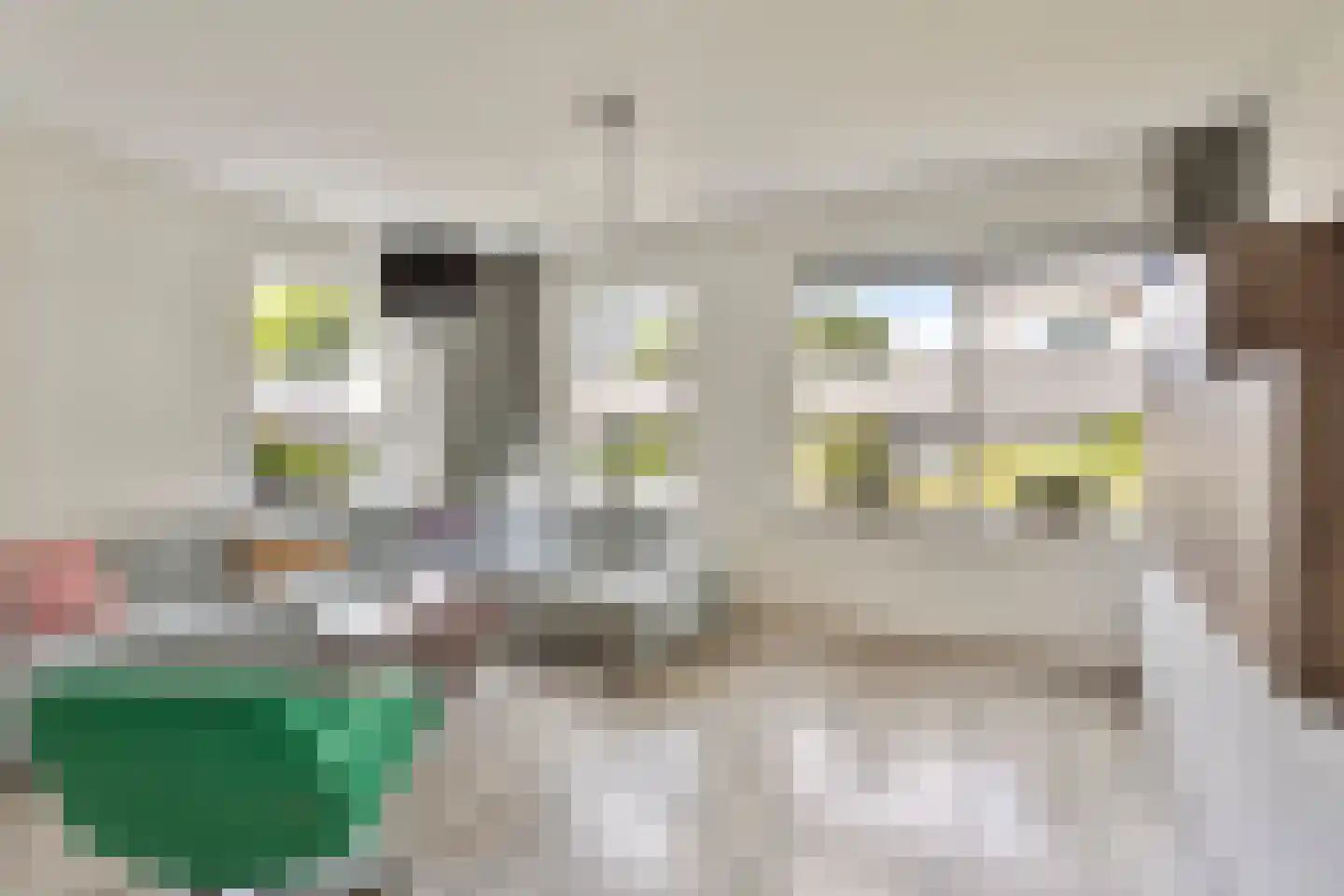 de Laak 23 Dreumel thumbnail 15