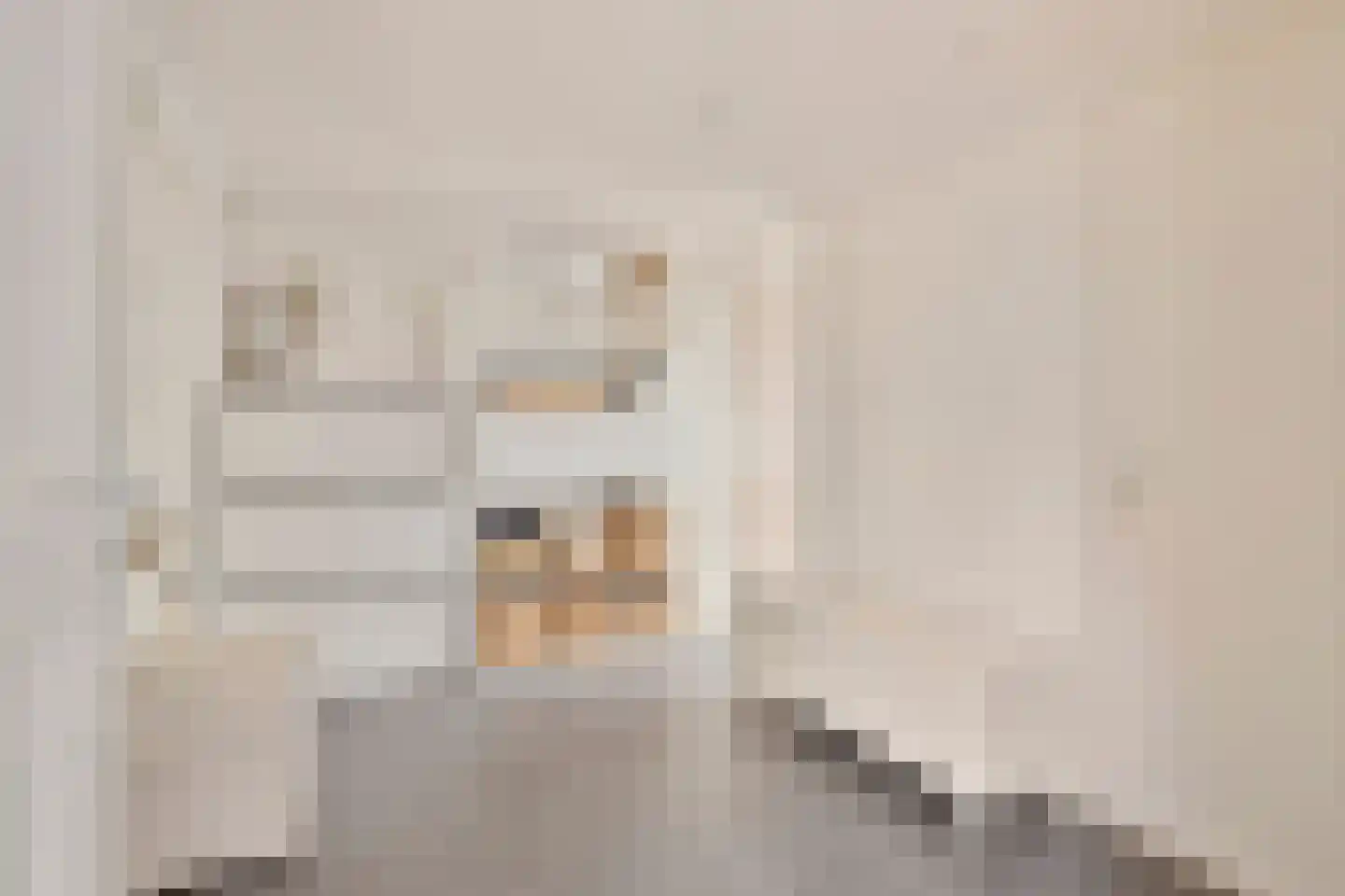 de Laak 23 Dreumel thumbnail 17