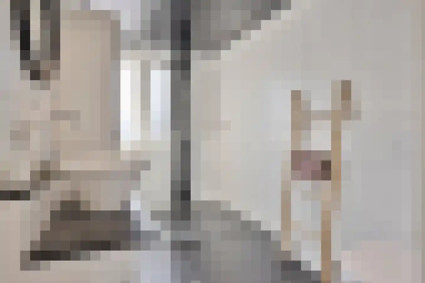 de Laak 23 Dreumel thumbnail 22
