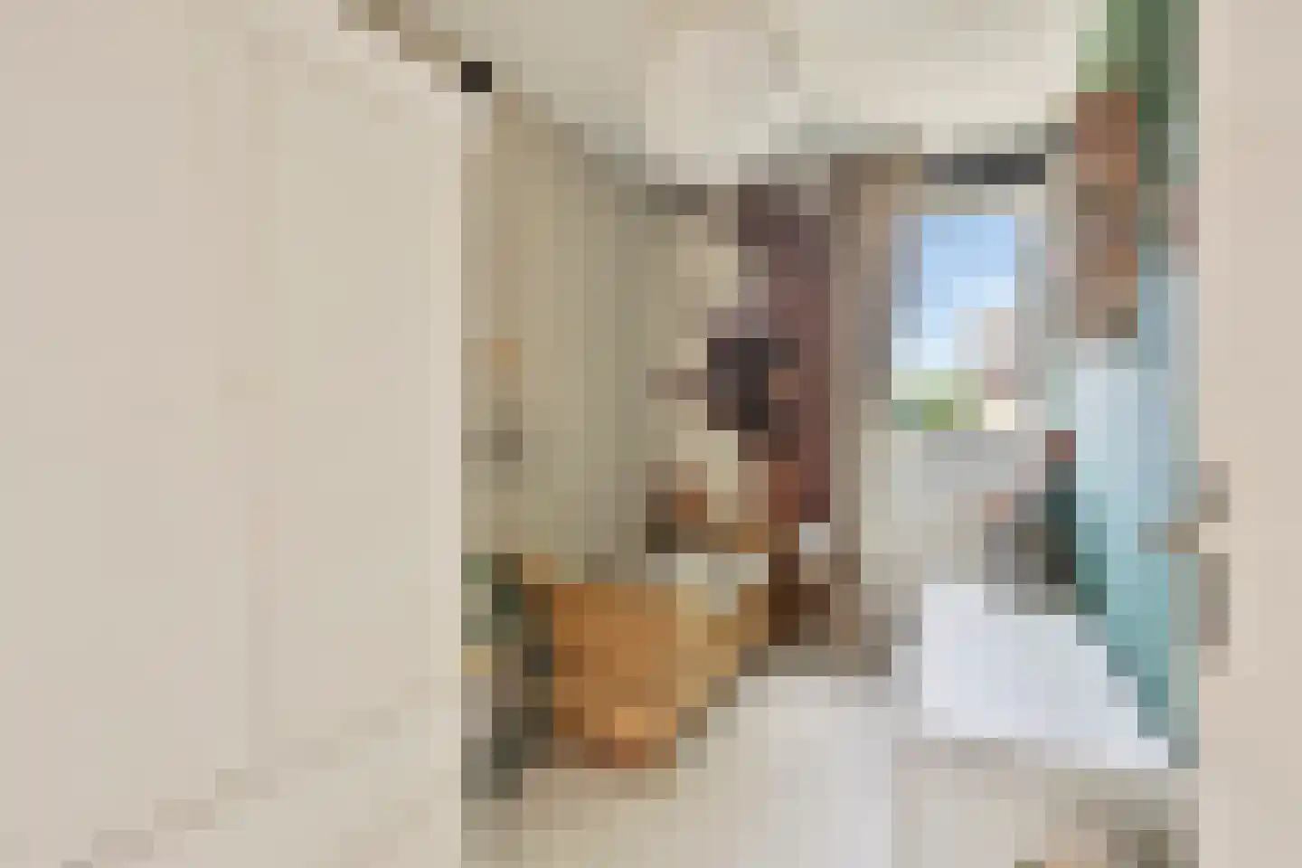 de Laak 23 Dreumel thumbnail 25