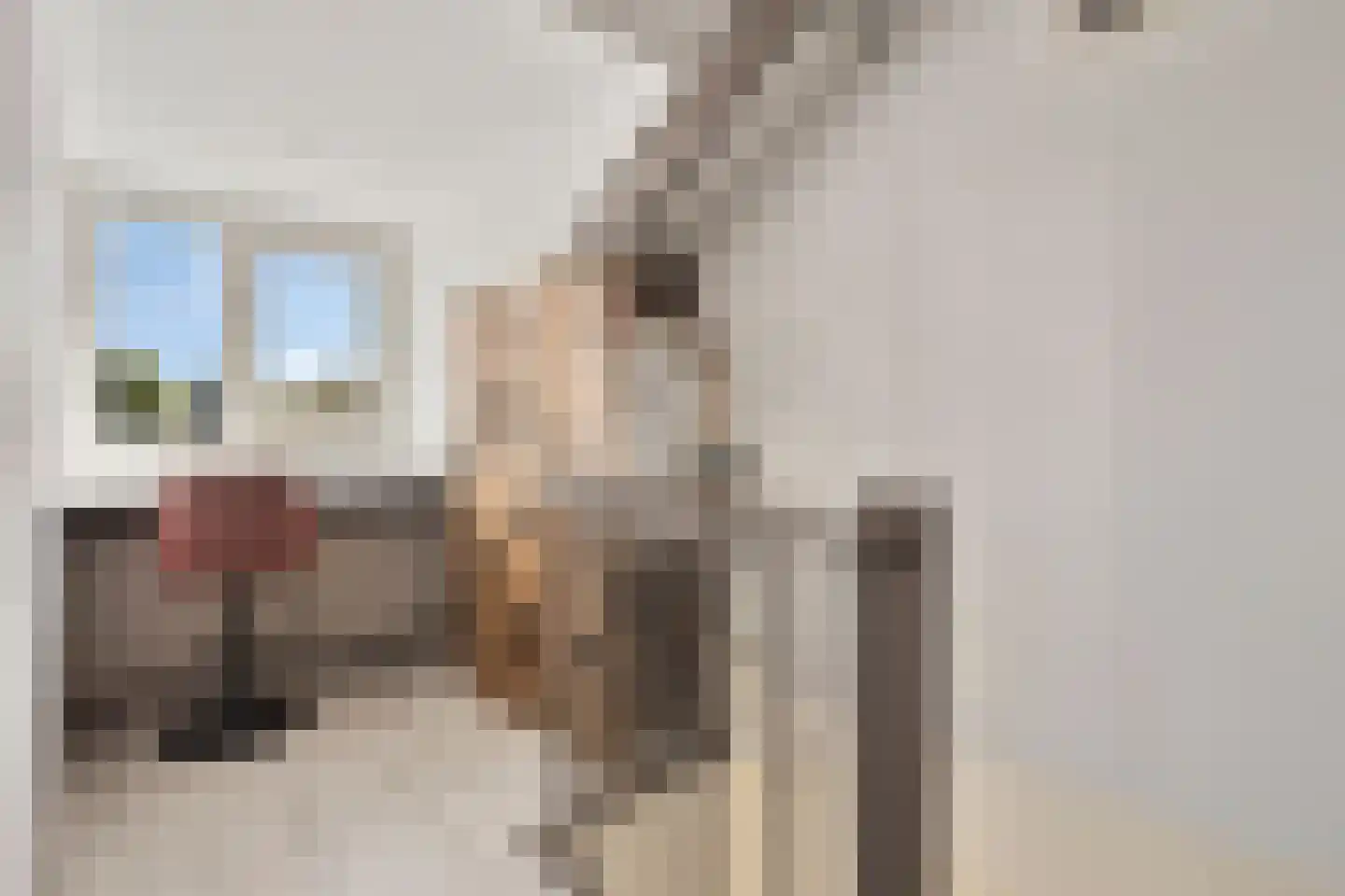 de Laak 23 Dreumel thumbnail 27