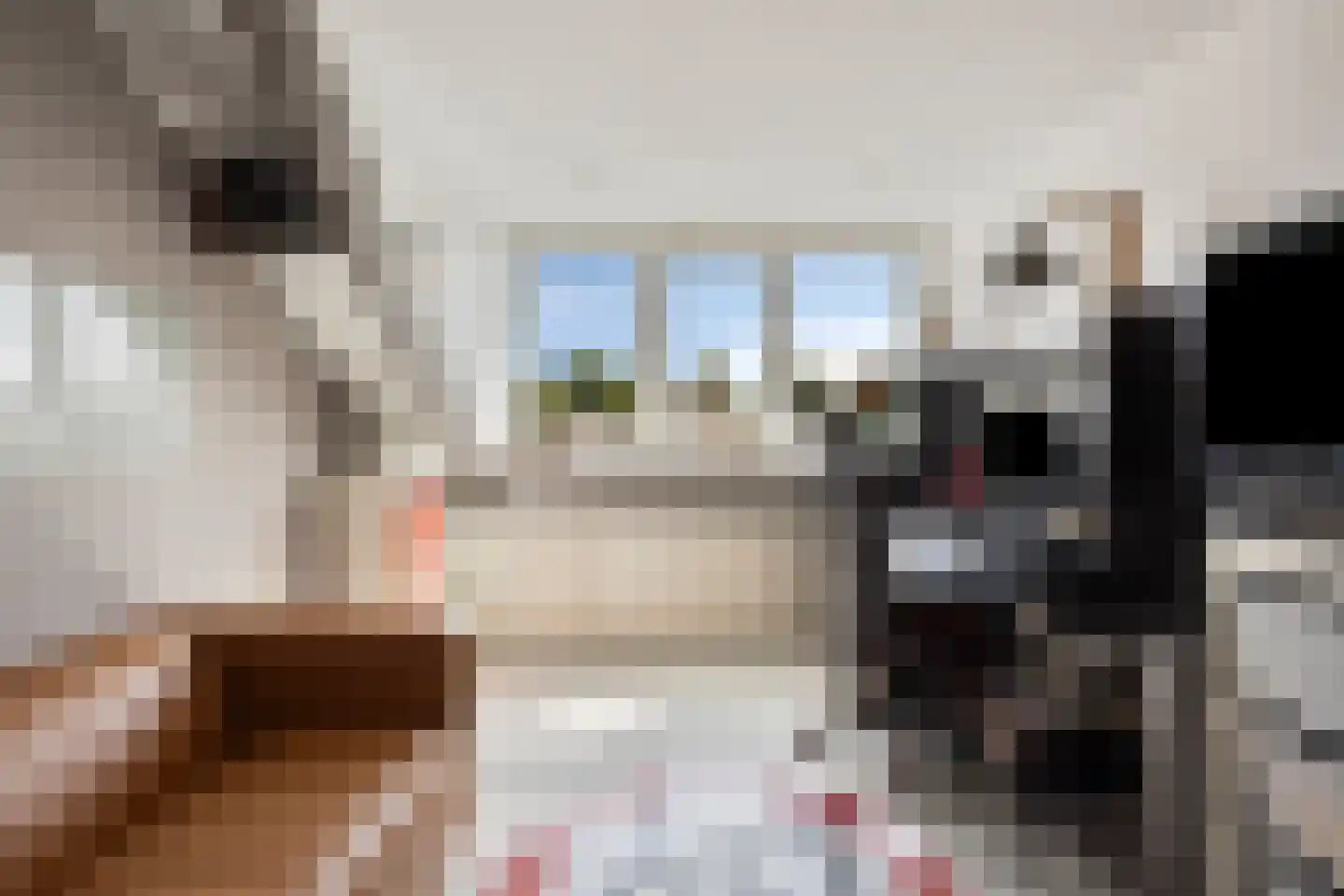 de Laak 23 Dreumel thumbnail 28