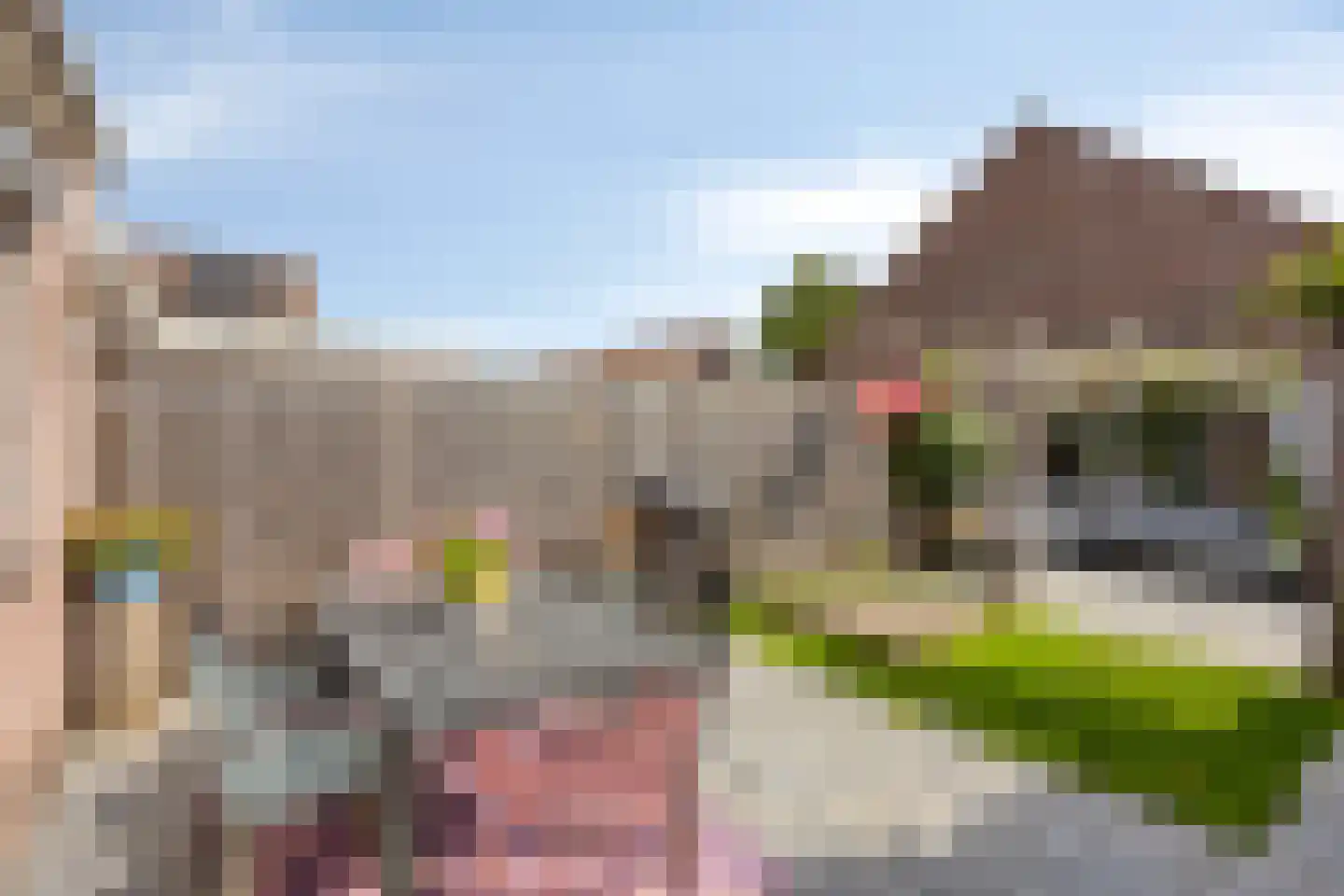 de Laak 23 Dreumel thumbnail 31