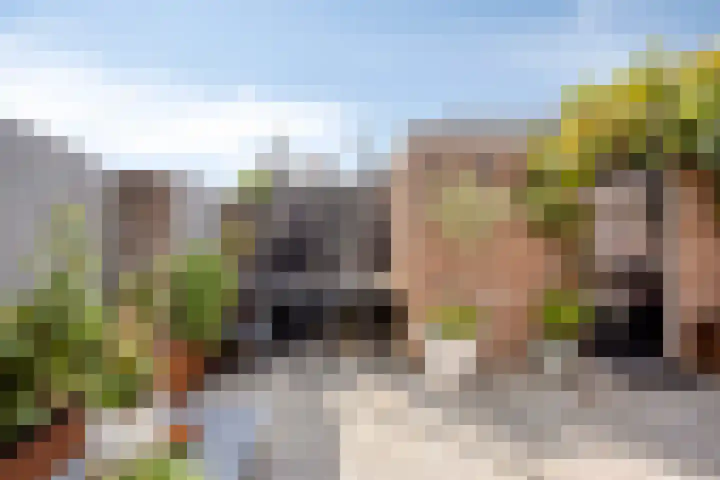 de Laak 23 Dreumel thumbnail 37
