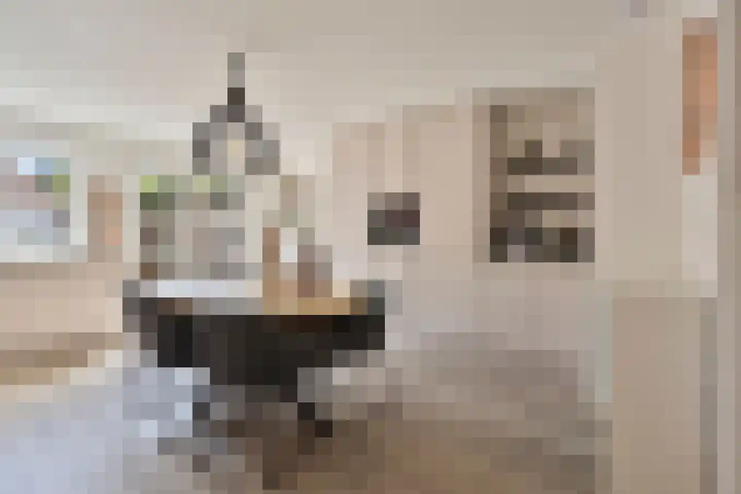 de Laak 23 Dreumel thumbnail 4