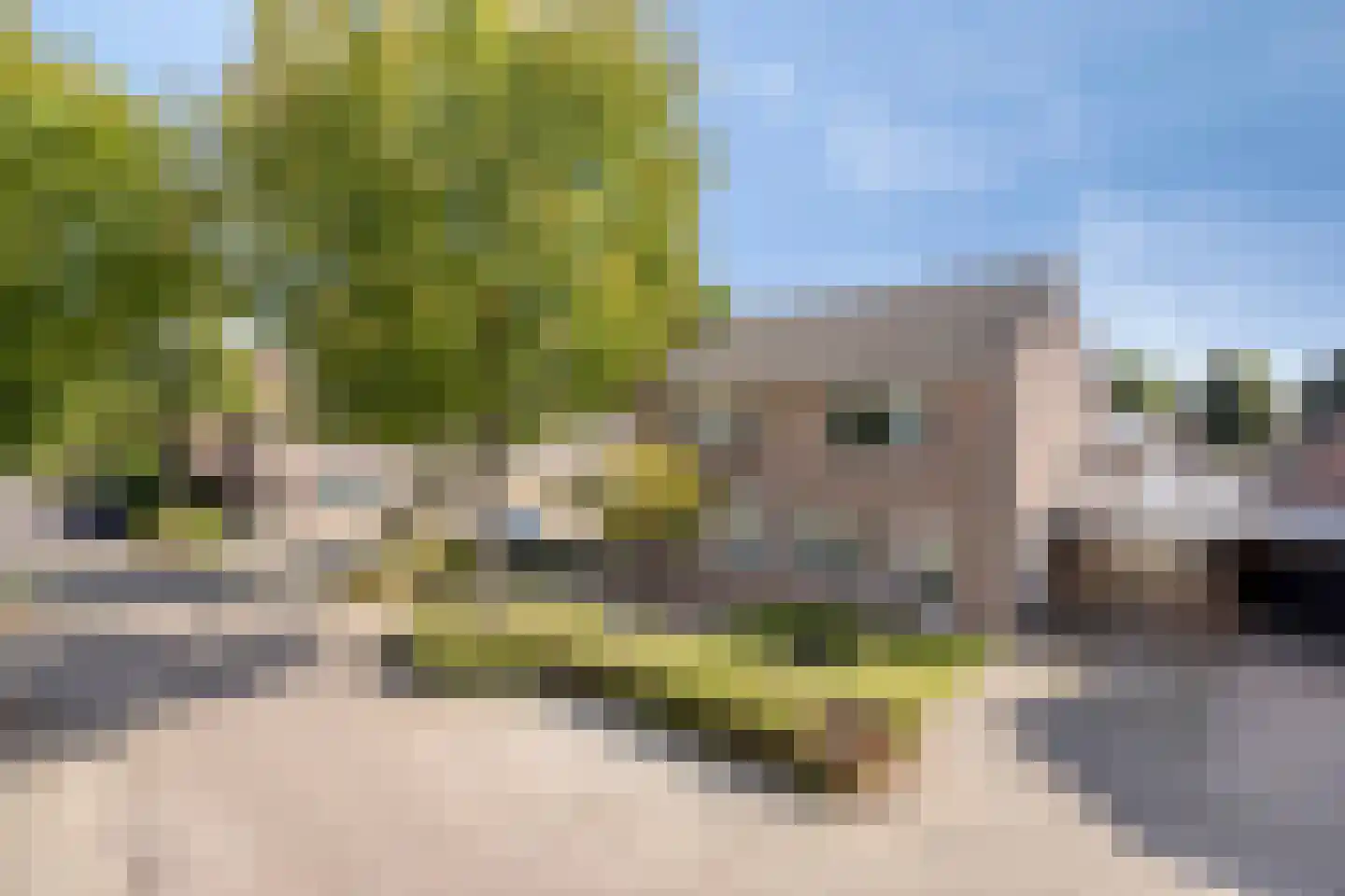 de Laak 23 Dreumel thumbnail 40