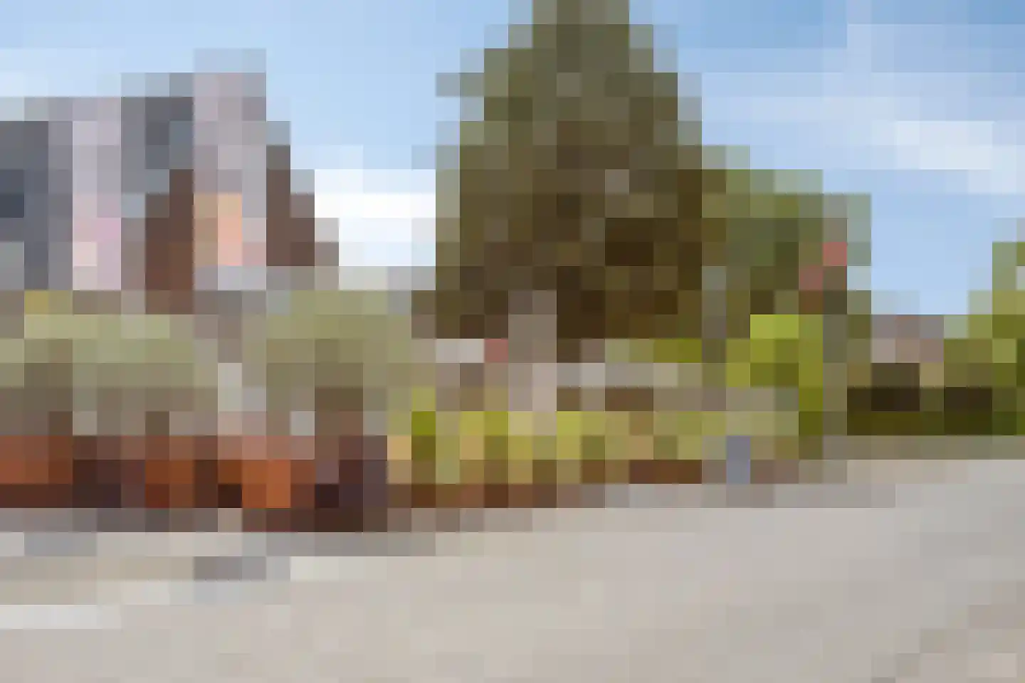 de Laak 23 Dreumel thumbnail 45