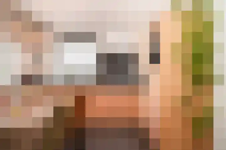 de Laak 29 Dreumel thumbnail 10