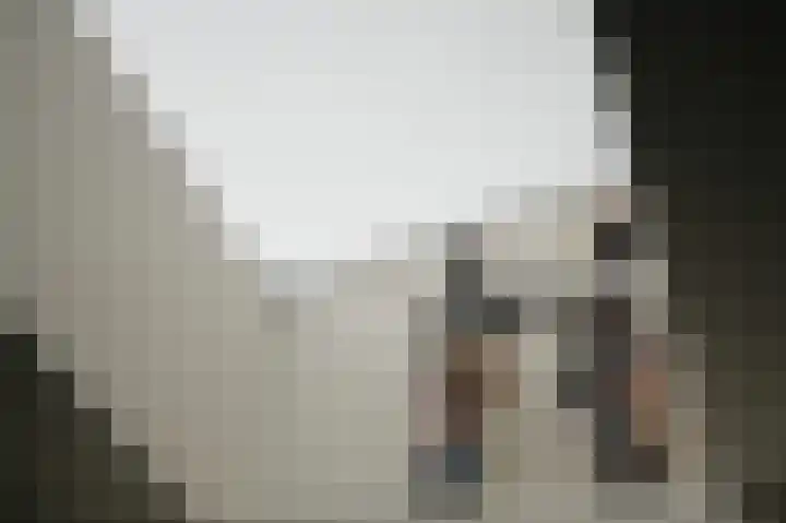 de Laak 29 Dreumel thumbnail 15