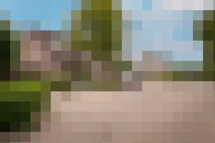 de Laak 29 Dreumel foto 2
