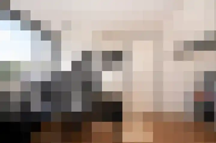de Laak 29 Dreumel thumbnail 26