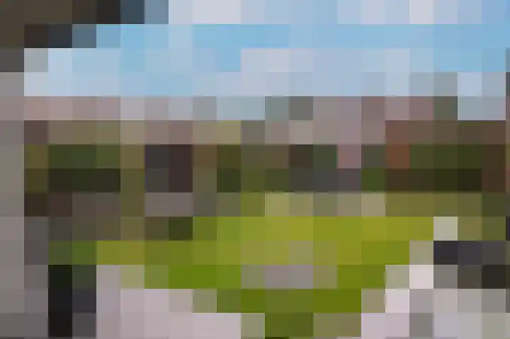 de Laak 29 Dreumel thumbnail 27
