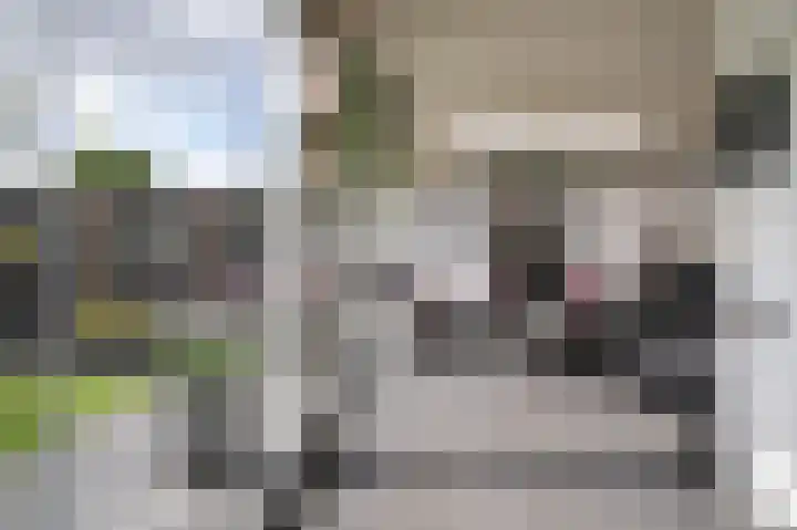 de Laak 29 Dreumel thumbnail 29