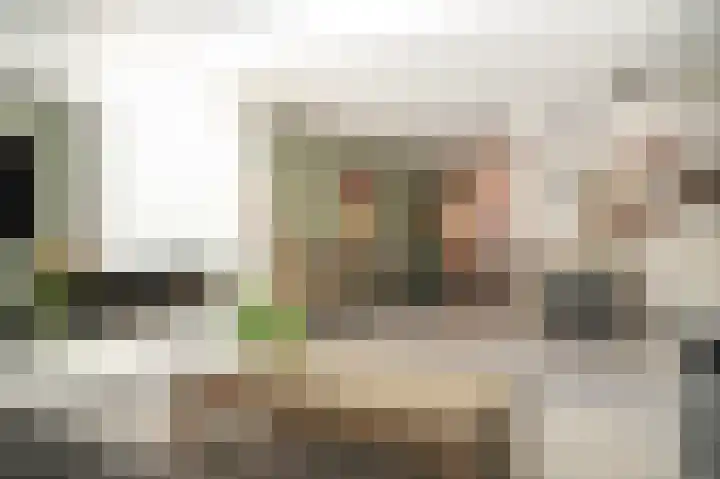 de Laak 29 Dreumel foto 3