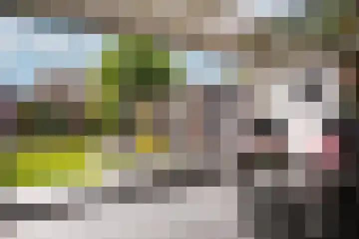 de Laak 29 Dreumel thumbnail 30