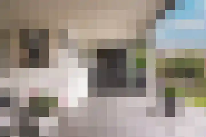 de Laak 29 Dreumel thumbnail 32