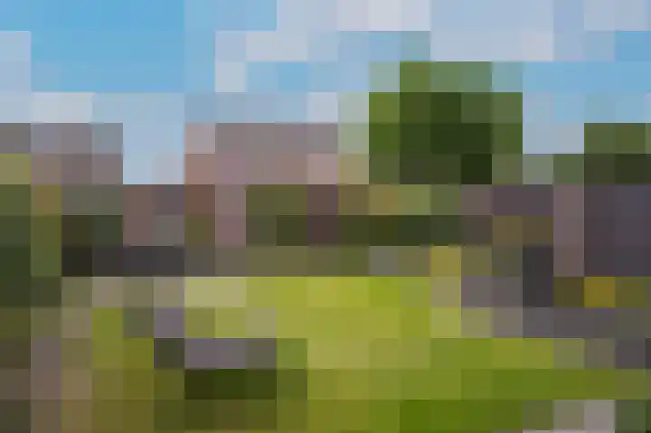 de Laak 29 Dreumel thumbnail 34