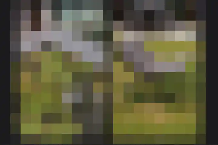 de Laak 29 Dreumel thumbnail 35
