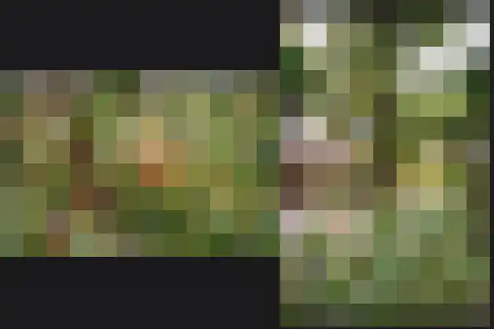de Laak 29 Dreumel thumbnail 39