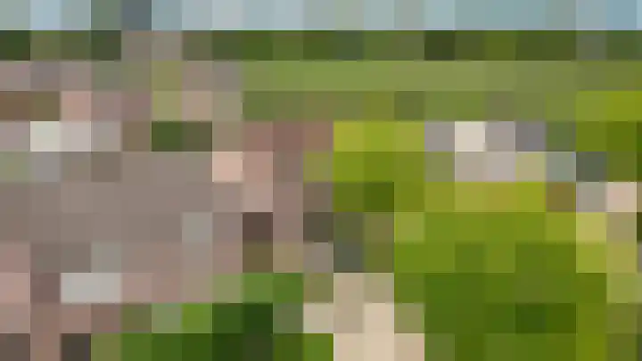 de Laak 29 Dreumel thumbnail 41