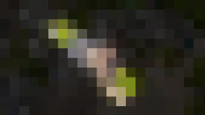 de Laak 29 Dreumel thumbnail 42