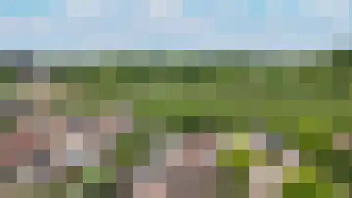 de Laak 29 Dreumel thumbnail 43