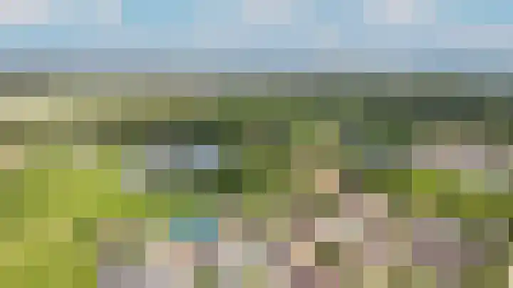 de Laak 29 Dreumel thumbnail 44