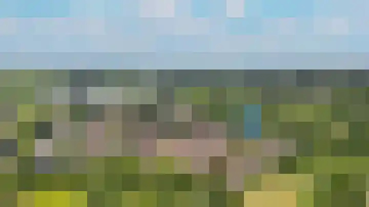 de Laak 29 Dreumel thumbnail 46