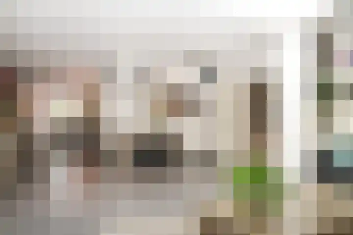 de Laak 29 Dreumel thumbnail 5