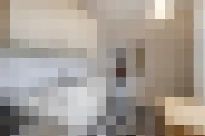 De Laak 35 Lexmond thumbnail 17