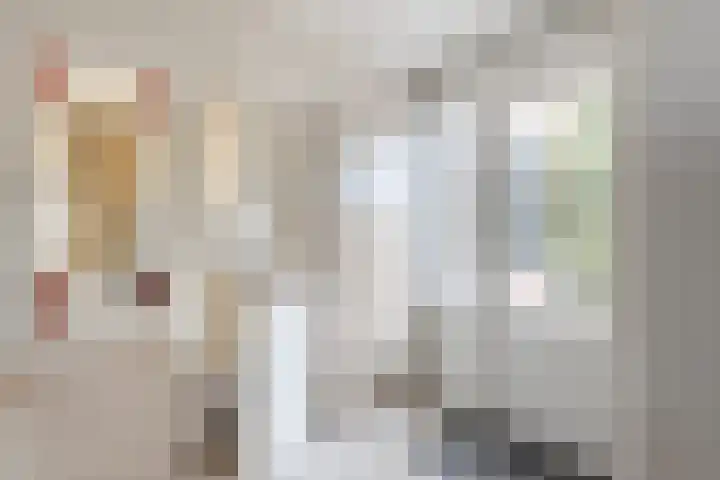 De Laak 35 Lexmond thumbnail 20
