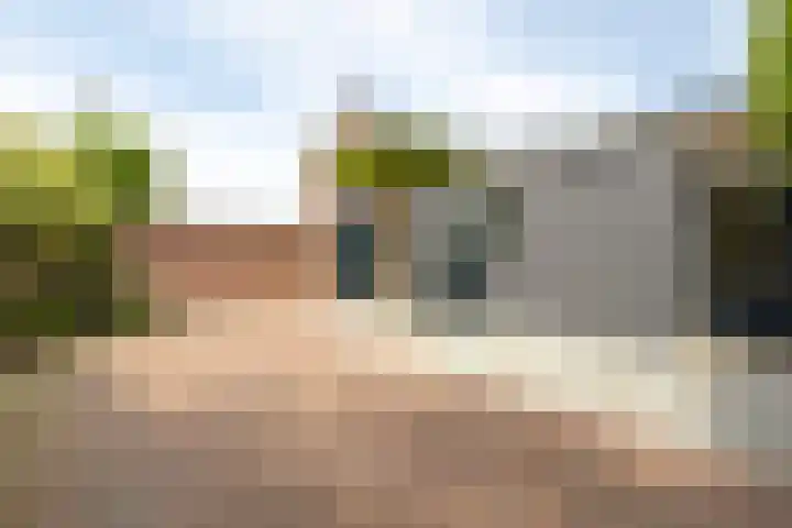 De Laak 35 Lexmond thumbnail 31