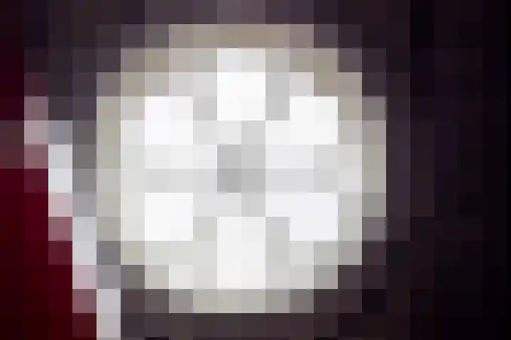 De Laak 35 Lexmond thumbnail 33