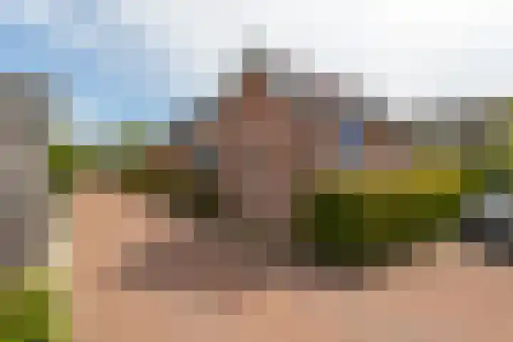 De Laak 35 Lexmond thumbnail 34