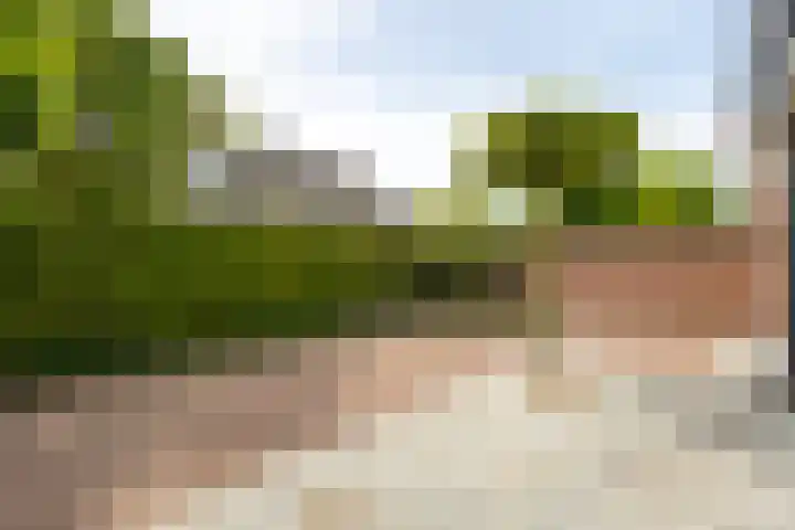 De Laak 35 Lexmond thumbnail 35