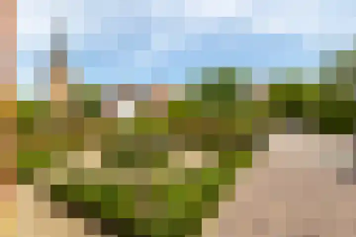 De Laak 35 Lexmond thumbnail 41