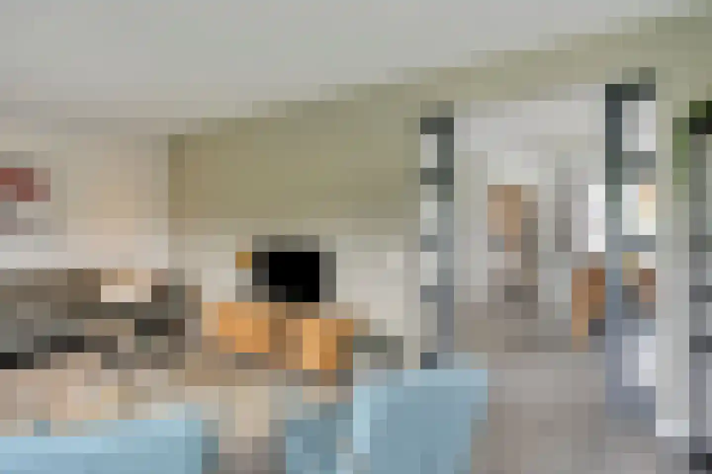 De Laak 5 Loenen thumbnail 11