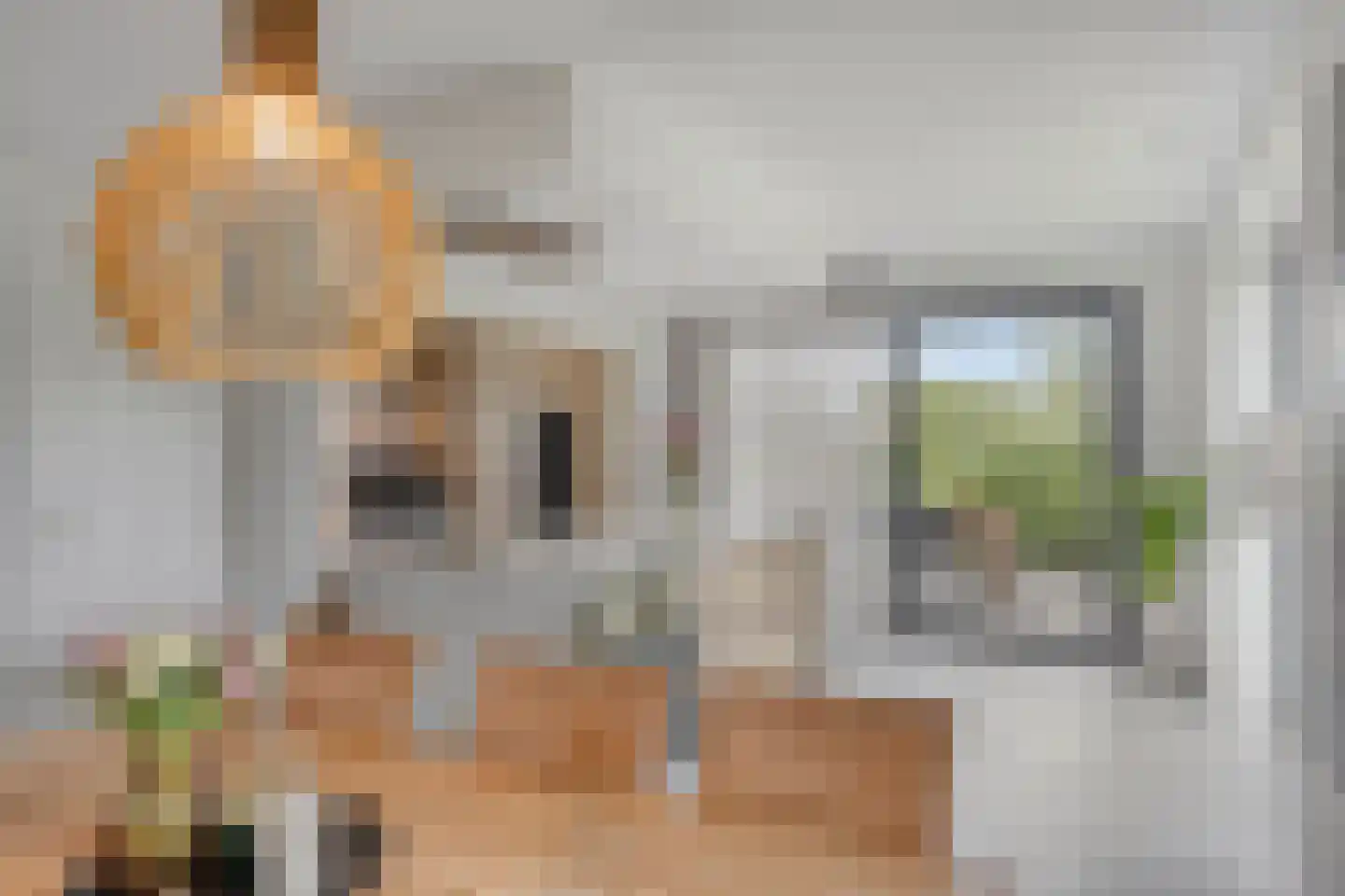 De Laak 5 Loenen thumbnail 17